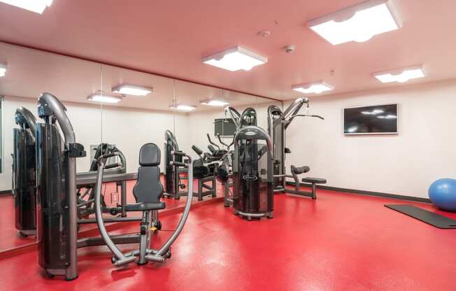 a gym with a lot of exercise equipment on the floor