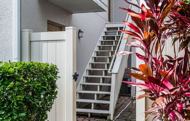 New Windermere Rental