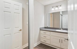 a bathroom with a sink and a mirror