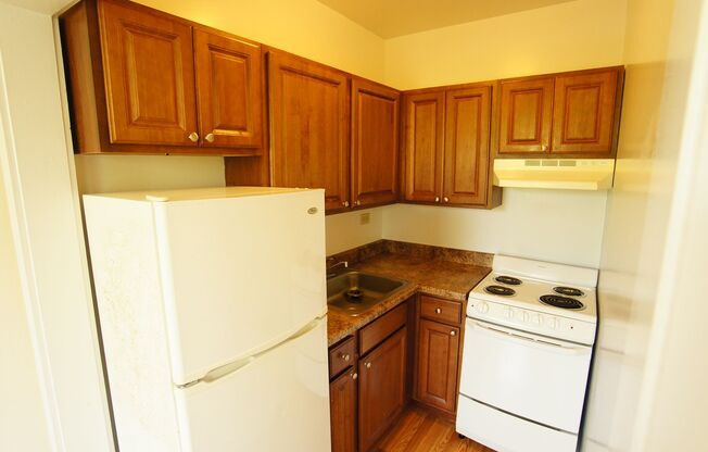 1 bed, 1 bath, 501 sqft, $1,495, Unit 102