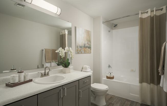 Elegant and modern bathrooms at Trevi Apartment Homes