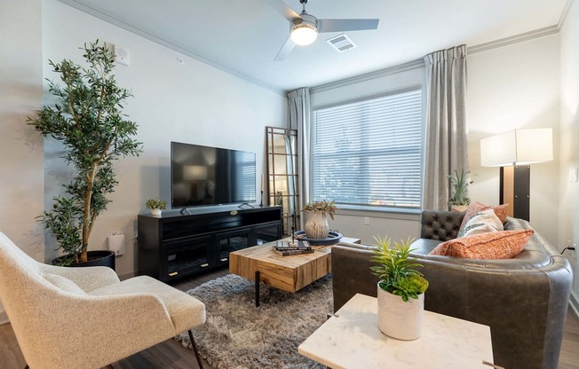 A living room with a white chair, a brown sofa, a wooden coffee table, a TV, and a plant.