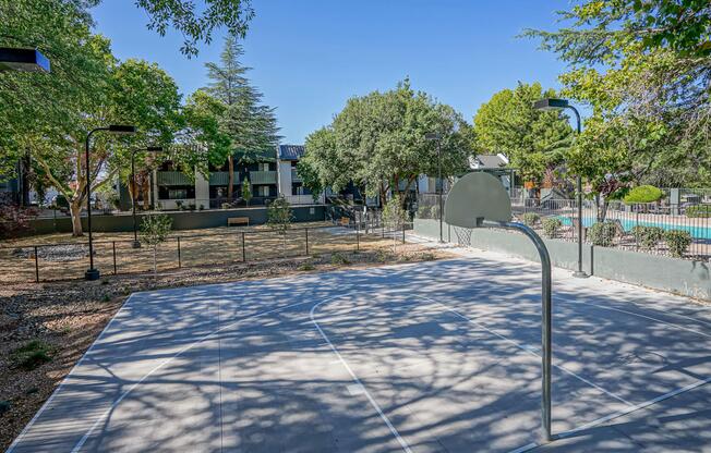 New basketball/sports court at Treehouse Apartments in Albuquerque, New Mexico