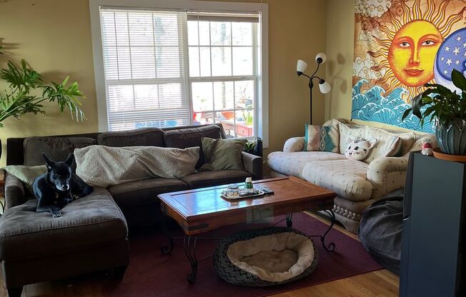 Well kept modern 3bd 2ba house