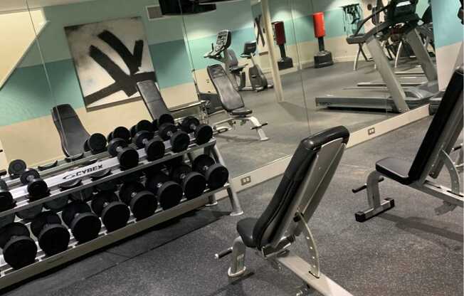 a gym with weights and a tv in the wall