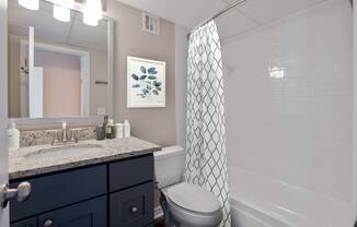 a bathroom with a shower toilet and sink and a mirror