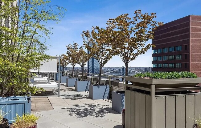 Studio, 1 bath, 543 sqft, $3,850, Unit 2212