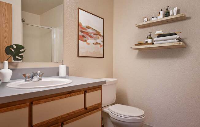 A bathroom with a toilet, sink, mirror, and shelves.