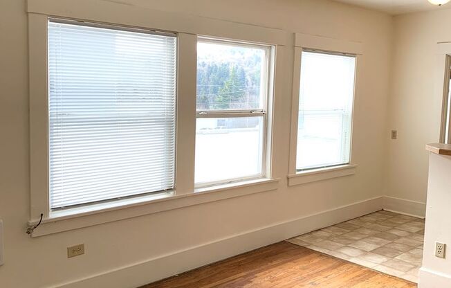 1 Bedroom in Sellwood
