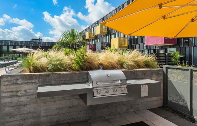 Outdoor Grills By The Pool