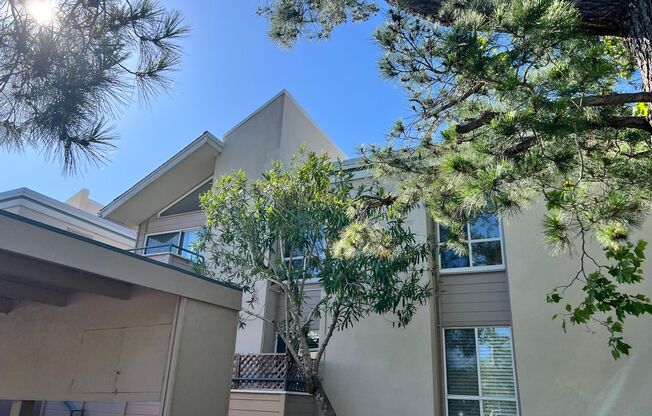 TWO BED / TWO BATH UPPER END UNIT CONDO IN LARKSPUR ISLE