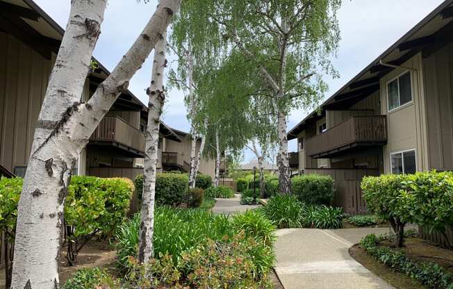 Prodesse Property Group Sylvan Square Apartments750 Sylvan AvenueMountain View, CA 94041