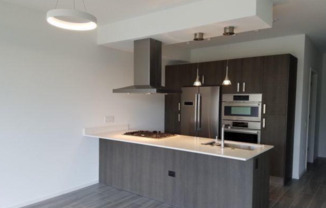 1 bed, 1 bath, $2,875