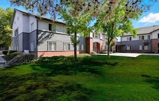 A tree with white flowers is in the foreground of a grassy area in front of apartment buildings.