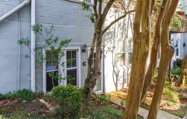 Charming Midtown Condo with Private Entrance