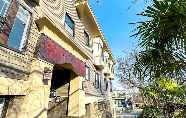 1 bed, 1 bath, 505 sqft, $1,495, Unit 19