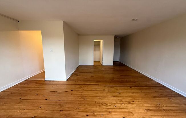 Studio, 1 bath, 487 sqft, $1,250, Unit Fifth 102