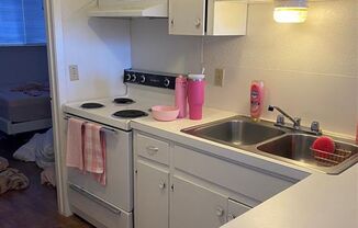 1 bed, 1 bath, $1,100, Unit # #C 306