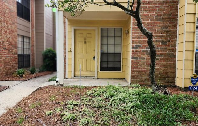 Bracewell Dr #D 224