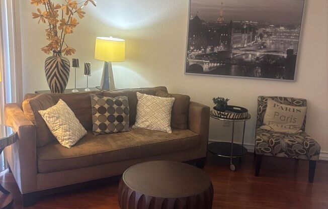 Meridian - Luxury 1Bdr/Bath Fully Furnished (Utilities Included)