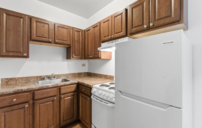 Studio, 1 bath, 355 sqft, $1,250, Unit 203