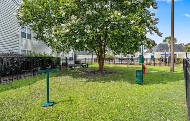 A green post in a grassy area with a tree and a fence in the background.