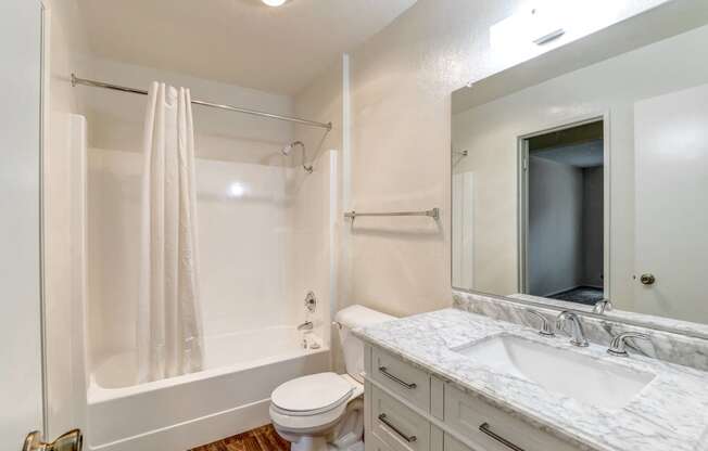 a bathroom with a shower toilet and sink and a mirror