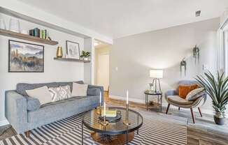 A living room with a grey couch, a coffee table, and a striped rug.