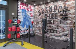 Riverview, FL Apartments – Sole at Brandon - a Fitness Center w/ Boxing Ring & Cardio Area