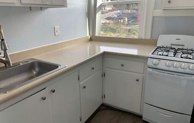 Studio, 1 bath, 240 sqft, $1,300, Unit 303
