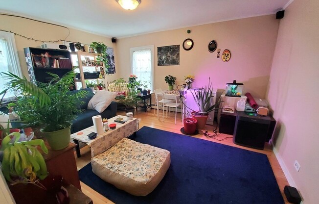 41 Mt Pleasant St