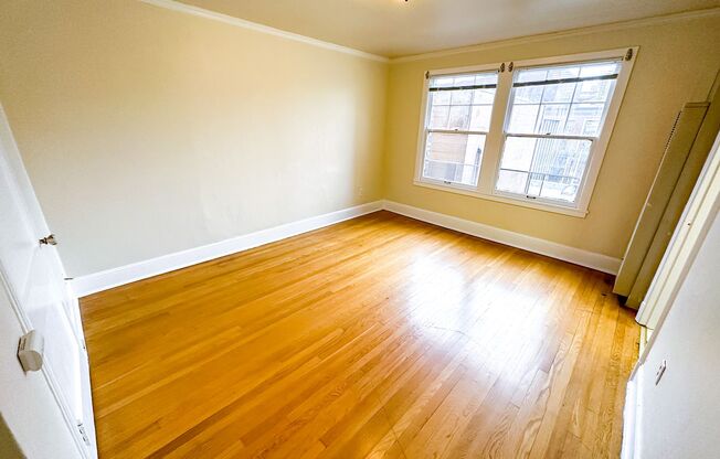 Studio, 1 bath, 365 sqft, $1,195, Unit 309