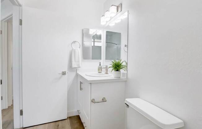 A white bathroom with a mirror, sink, and a plant.