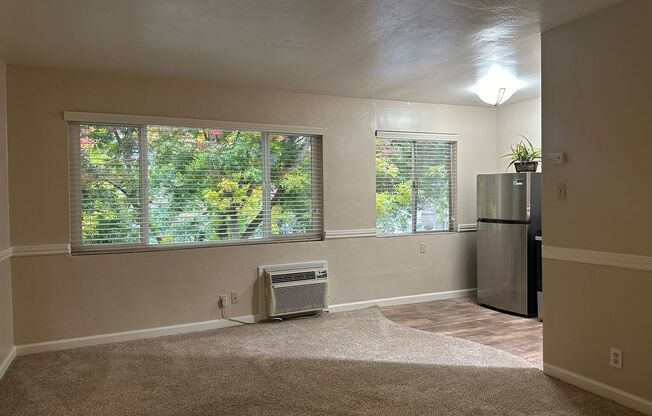 Studio, 1 bath, $1,425, Unit #211