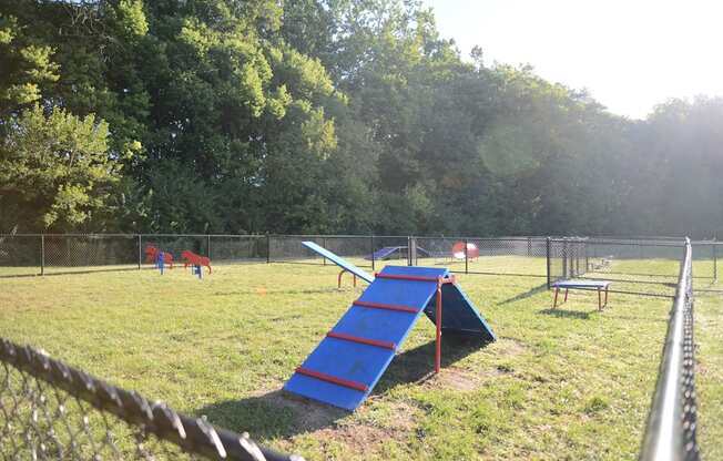 A playground with a blue slide and a red ladder.