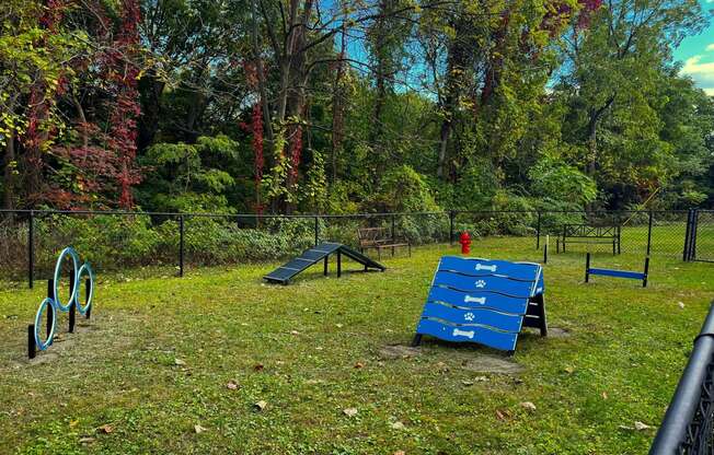 a park with a blue bench and a skateboard in the grass