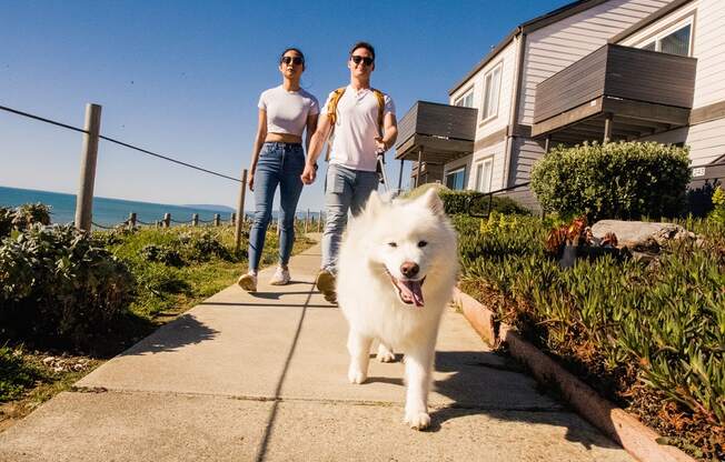 two people walking a white dog down a sidewalk