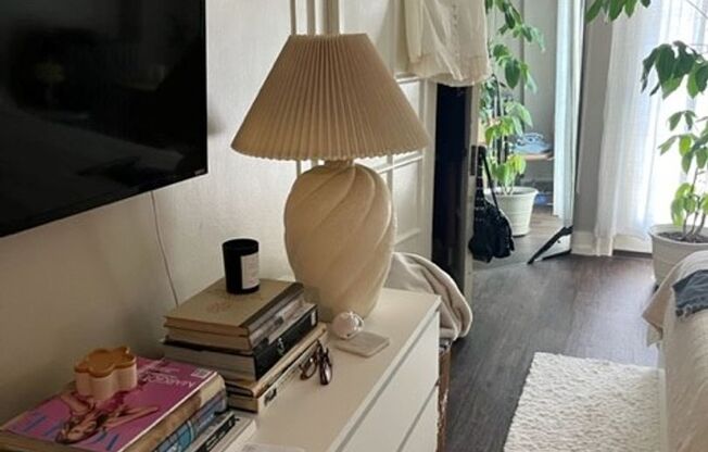 Studio, 1 bath, 300 sqft, $850, Unit 401