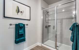 Walk-In Showers at The Prescott Luxury Apartments in Austin, TX