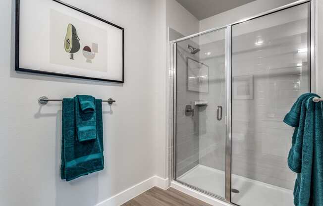 Walk-In Showers at The Prescott Luxury Apartments in Austin, TX