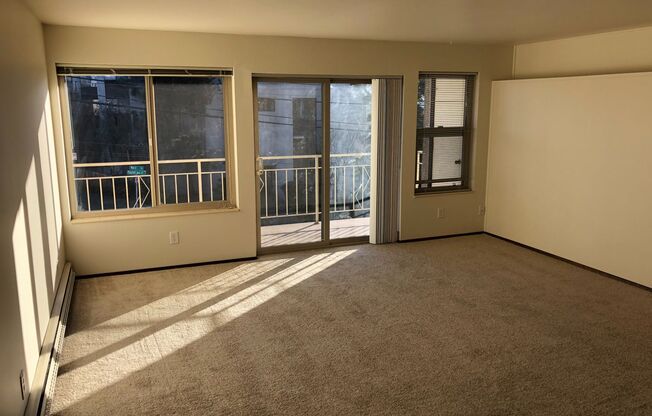 Orion Apartments