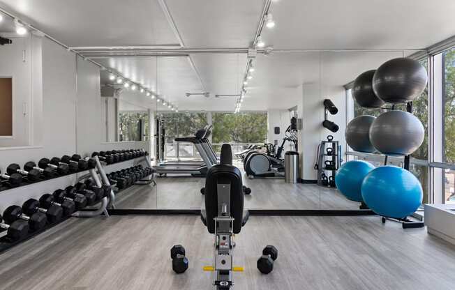 a gym with cardio equipment and weights on the floor and a large window
