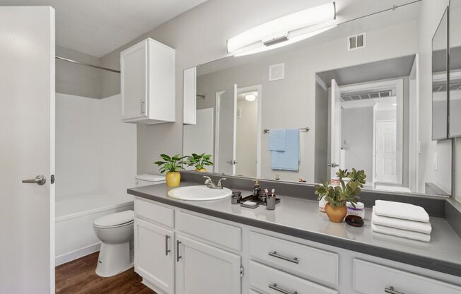 1 bed, 1 bath, 738 sqft, $1,175, Unit 319