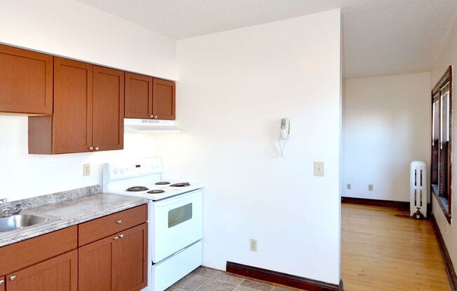 1 bed, 1 bath, 410 sqft, $960, Unit 19 - 203
