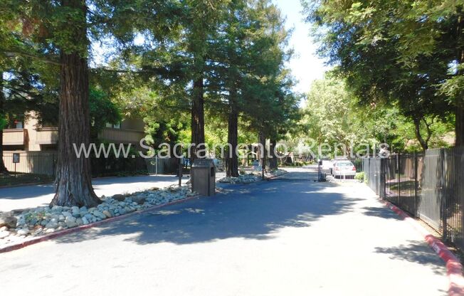 Charming Timberlake 1bd/1ba Condo - Near Sac State