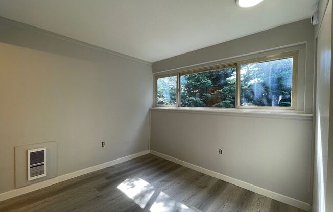 1 bed, 1 bath, 350 sqft, $1,195, Unit 309