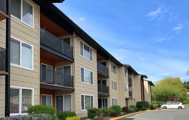 1 bed, 1 bath, 700 sqft, $1,800, Unit 331