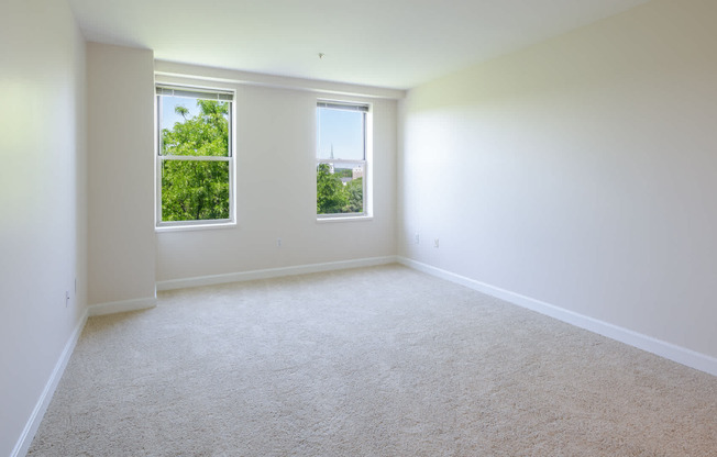 Carpeted Bedroom