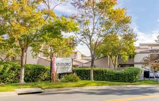 A Vista Oaks sign is displayed on a tree in front of a row of houses.