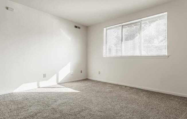 an empty room with carpet and a window